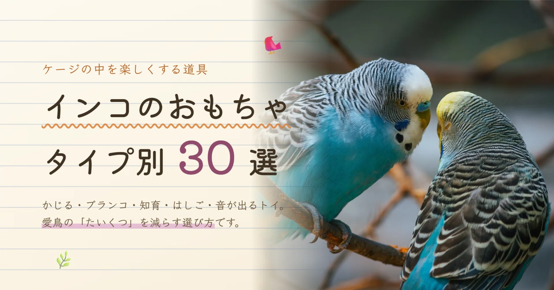 インコのおもちゃおすすめ30選｜かじる・知育・ブランコをタイプ別に