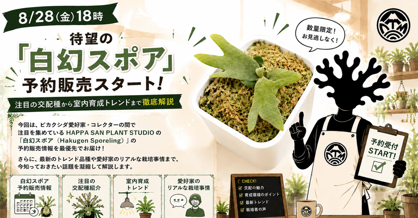8/28（金）18時 待望の「白幻スポア」予約販売スタート！注目の交配種