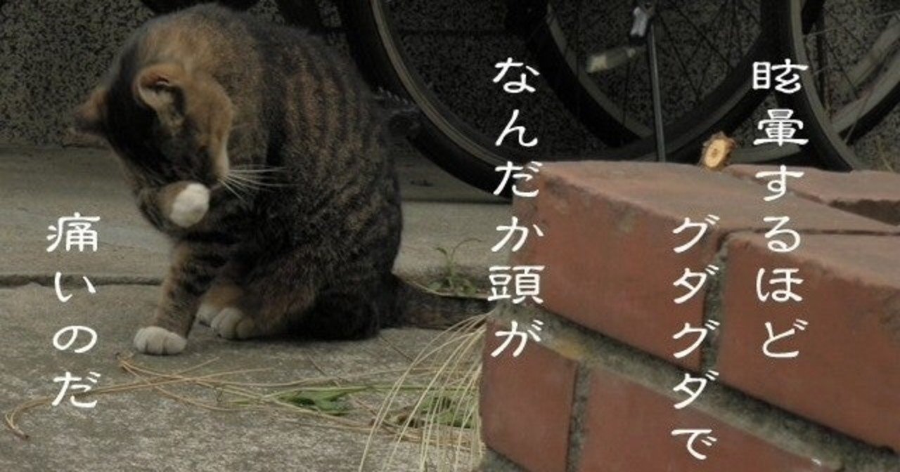 怠惰な生活をしている人 Kumanuts Note 怠惰な生活をしている人 Kumanuts Note