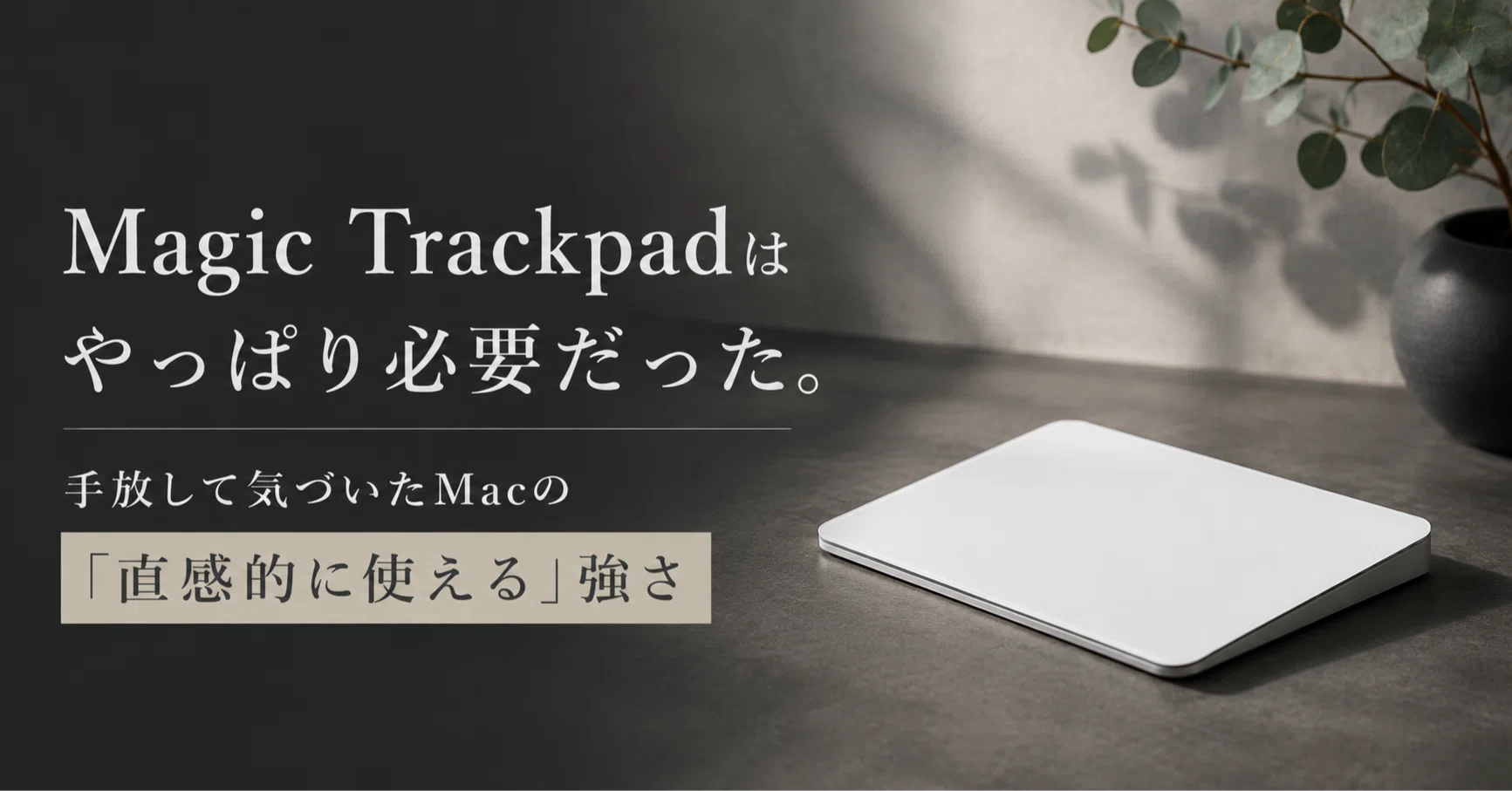 Apple trackpad usb c Magic track pad マジックトラックパッド3 Apple