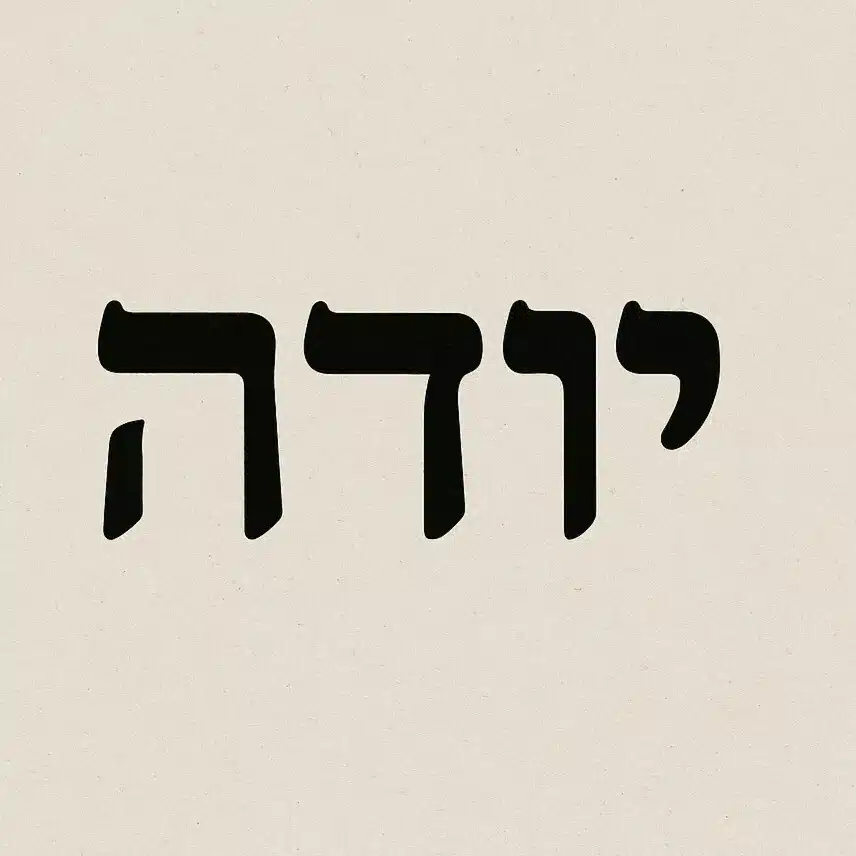 יודה