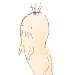 コリラックマ愛好家