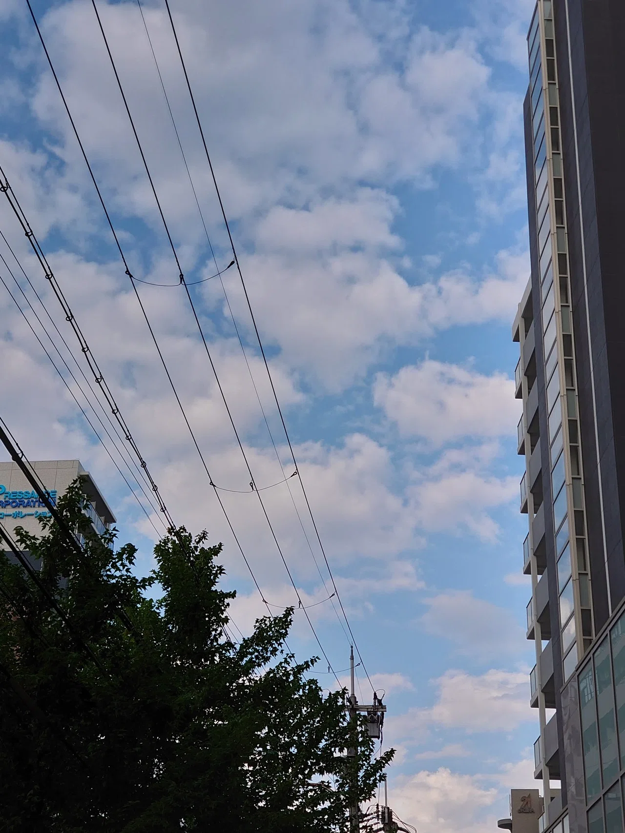 絵に描いたような青空が浮かんでいた てるもと ちひろ Note