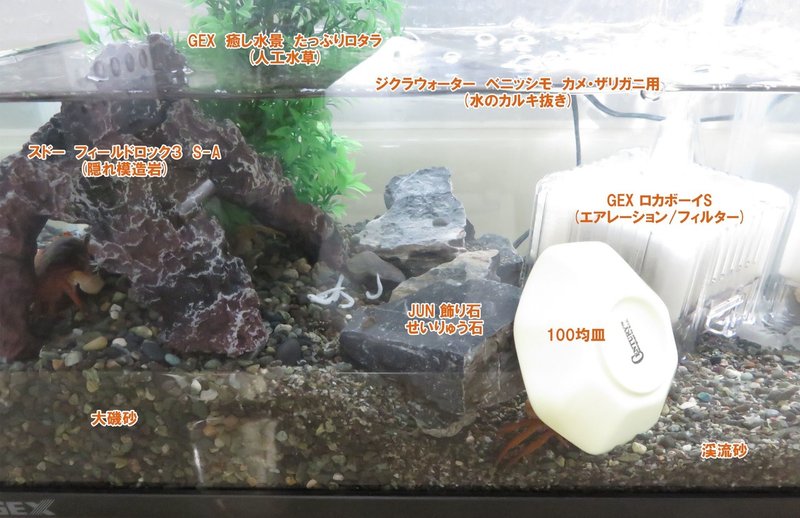 水槽をお引っ越し Kyo Ovo Note