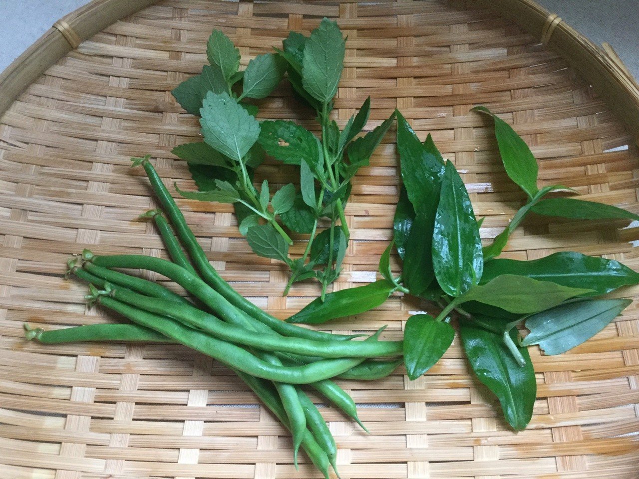 菜園料理の記録 2 食べるスープ なな艸 Note 菜園料理の記録 2 食べるスープ なな艸 Note