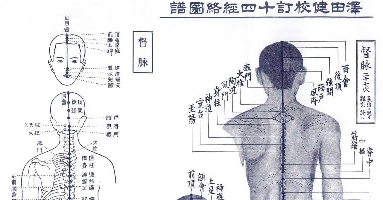 経絡・経穴 十四経脈(督脈・任脈〜足の陽明胃経)｜そーだい