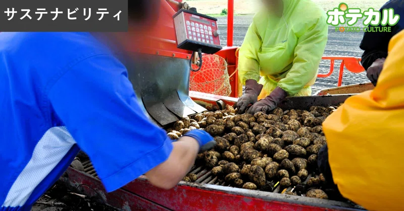 機上選別の助っ人にスキマバイトも