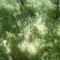 アラサー主婦|ふたり暮らしのごはん🍚