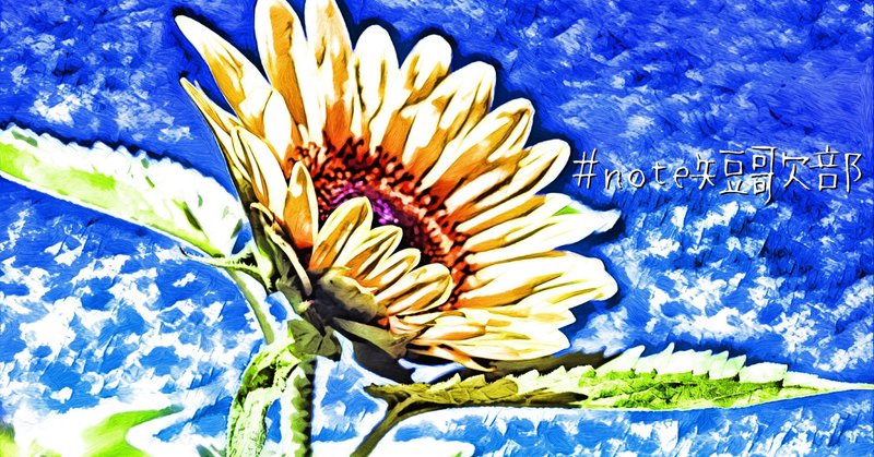 7月日 誕生花は向日葵 Note短歌部 御子柴 流歌 Note