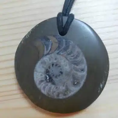 水淵アルタ