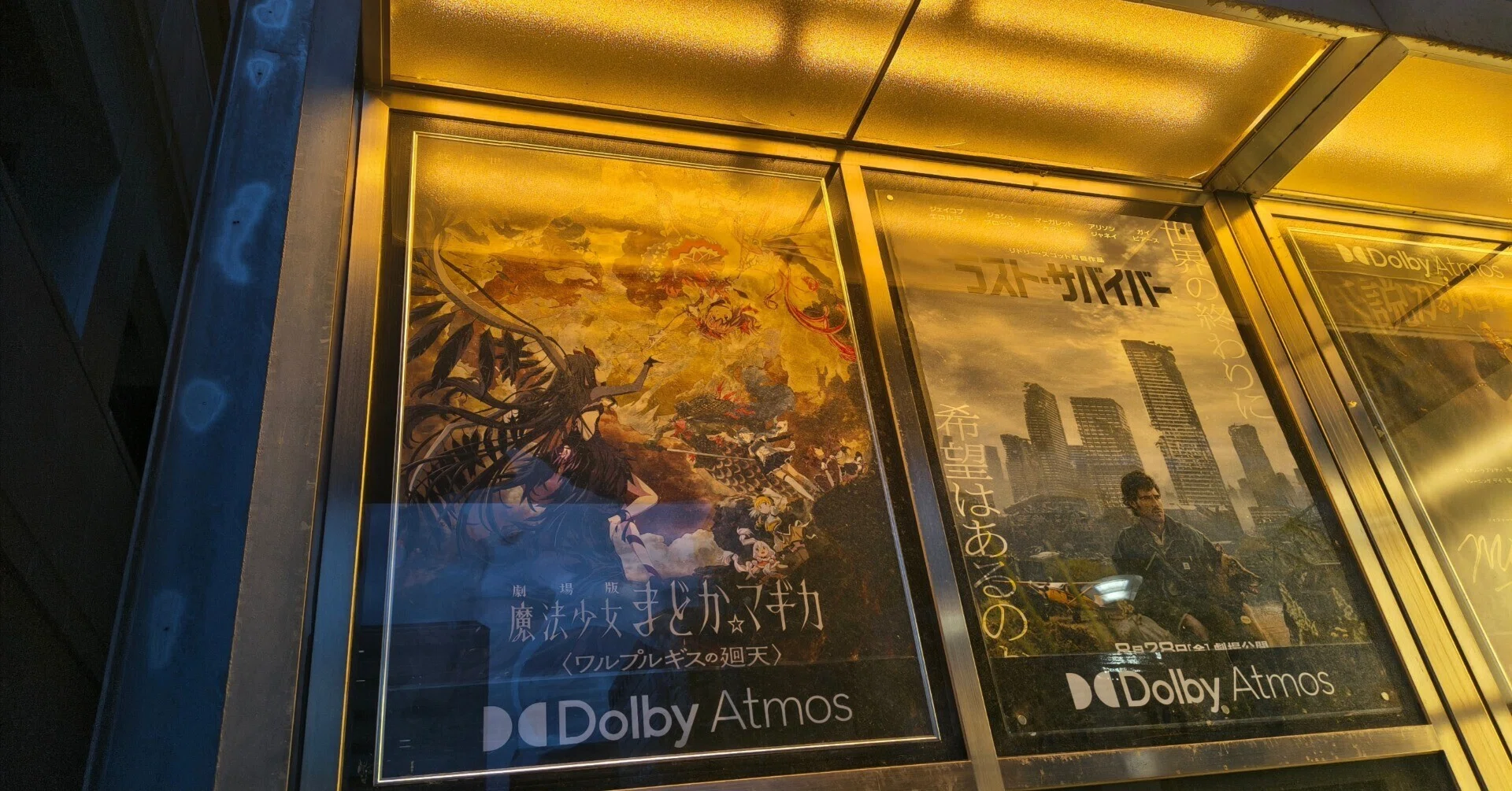 今年 の 映画 一覧