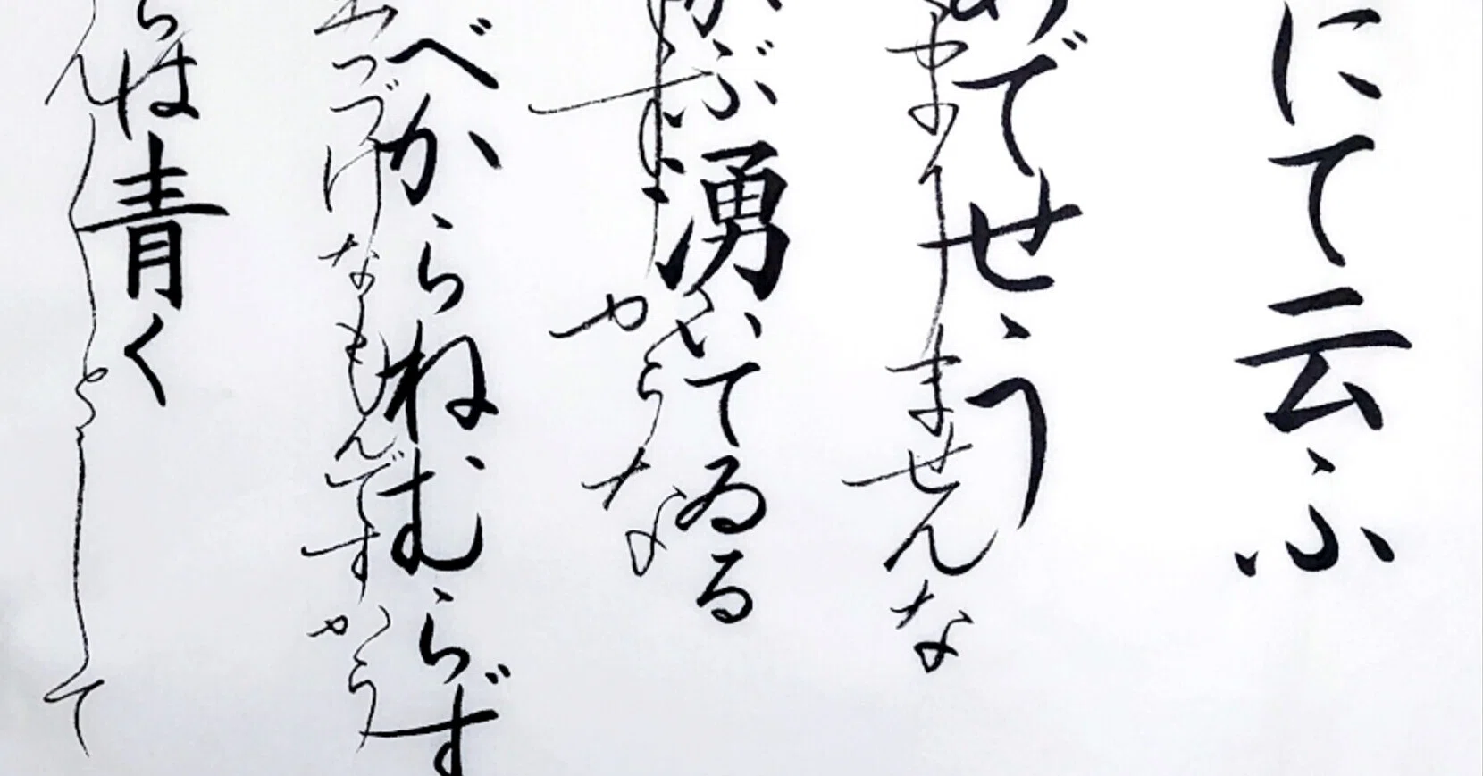 同じ ちょんちょん 向き