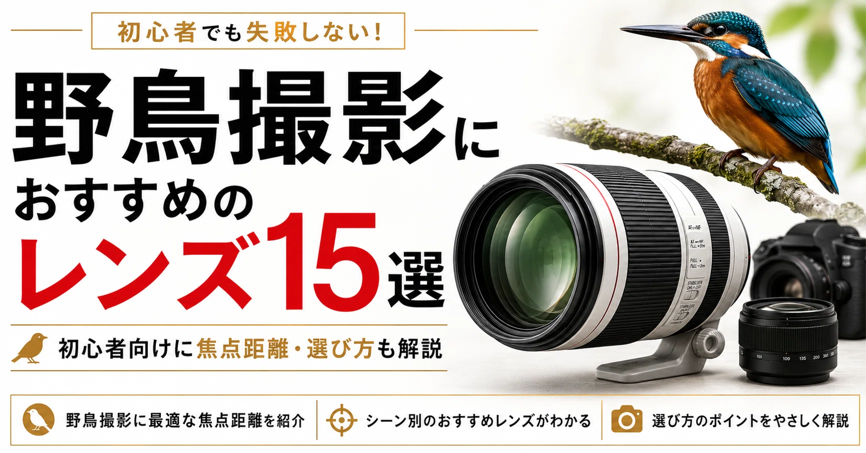 野鳥撮影におすすめのレンズ15選｜400mm・600mmはどっち？初心者向けに