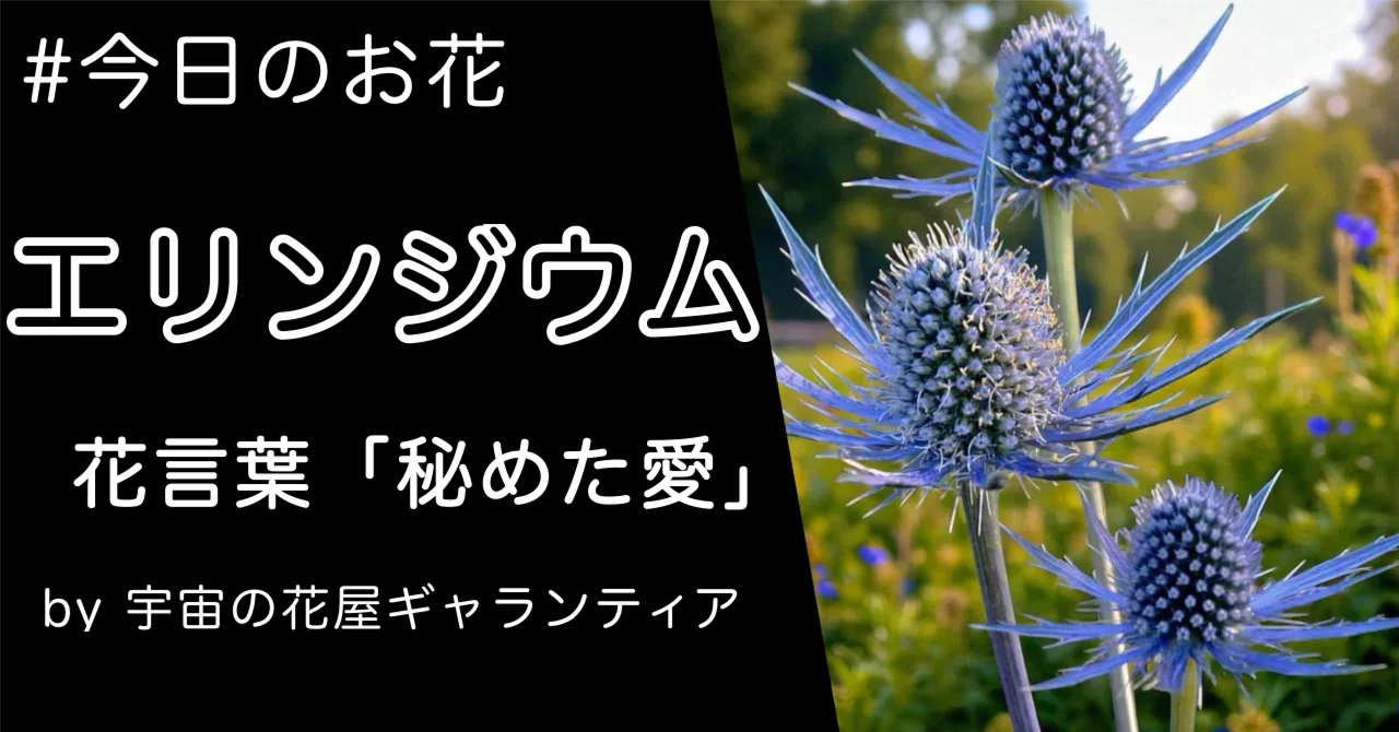 エリンジウムに見る、トゲの中の「秘めた愛」/ 8月28日 #今日のお花