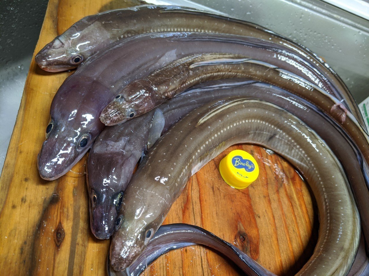 土用の丑の日 デザイン思考と本質追究を楽しもう Note 土用の丑の日 デザイン思考と本質追究を楽しもう Note