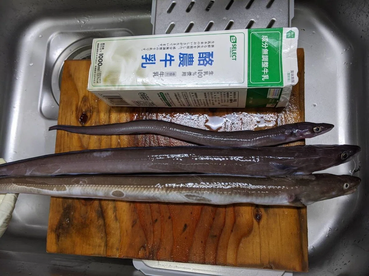 画像6