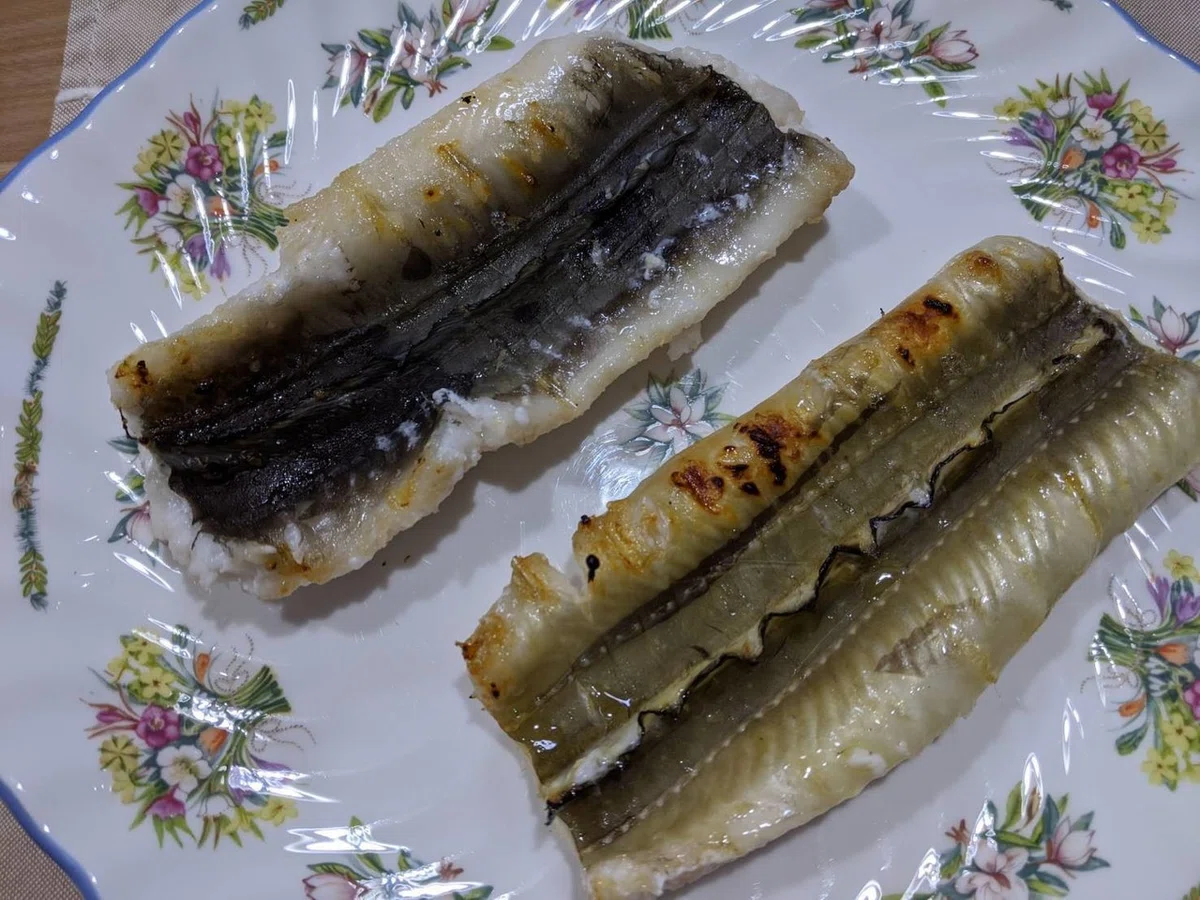 画像9