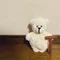 ありんこ大臣