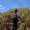 オーロラ人生