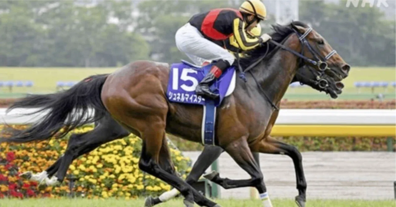 2026年8月29日(土)新潟9レース 勝負の1鞍｜ぴの＠単勝馬券で家族を