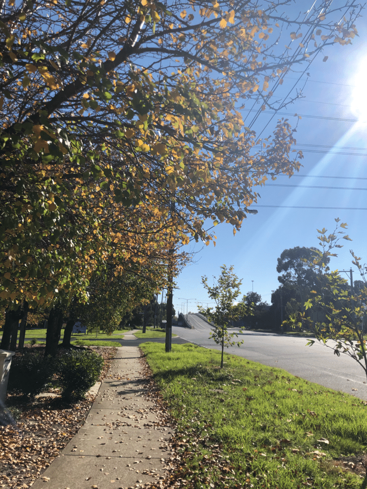 街全体の景色がすっかり秋模様に変わった。落ち葉も大きく道路に落ちていて空気も肌寒くなってきた頃