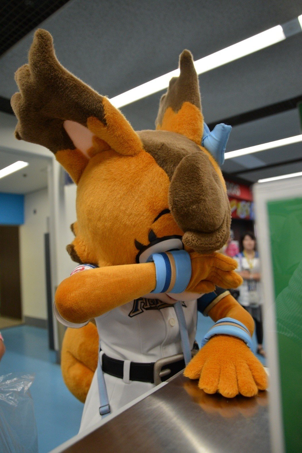 台風一過の東京ドーム 初日 19 9 10 おさないたかお Note