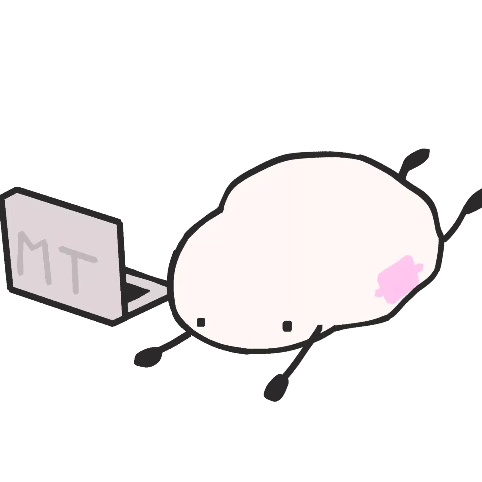 MT