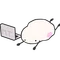 MT