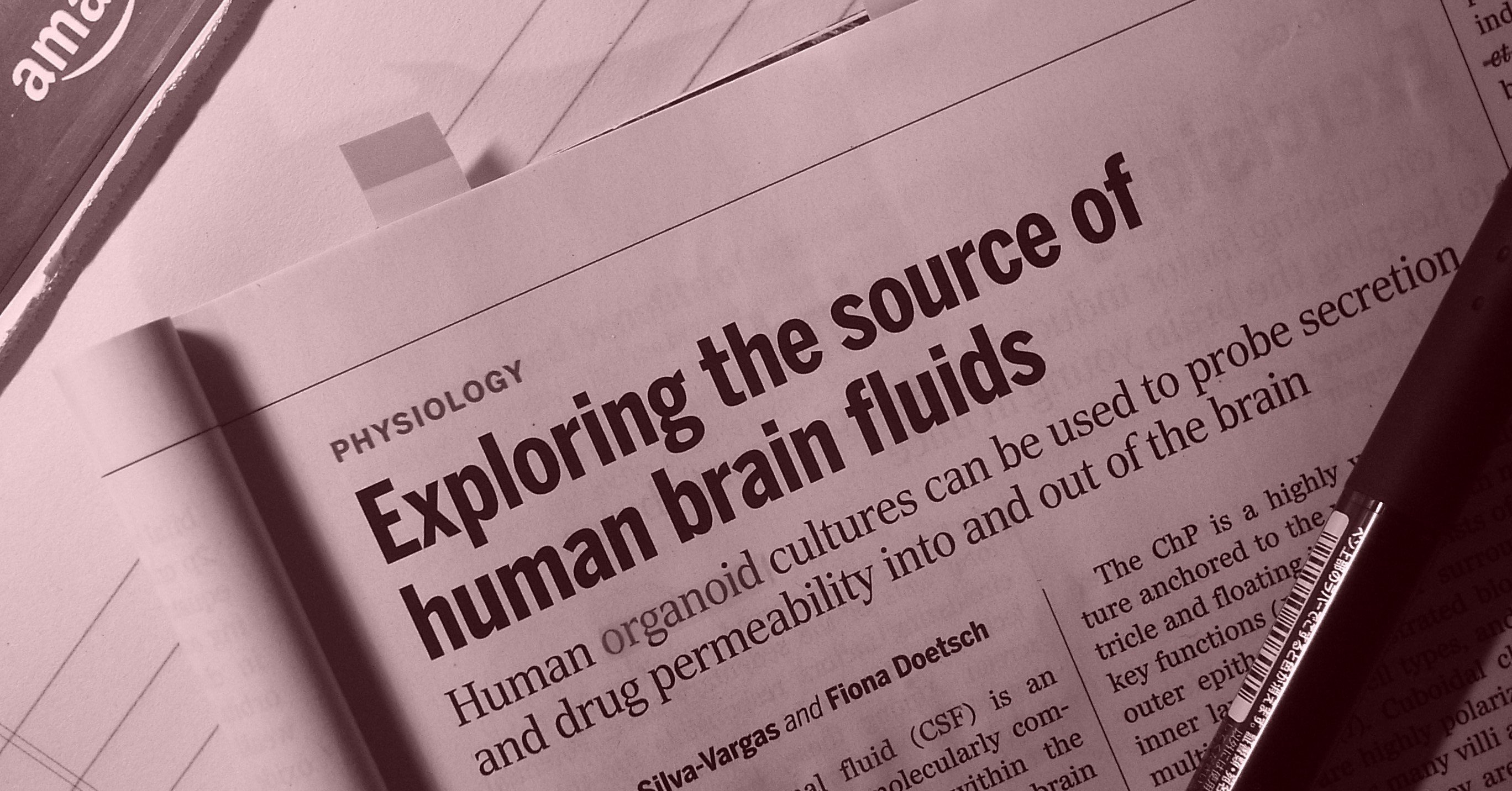 決定版 オルガノイド実験スタンダード - beachculture.co.jp