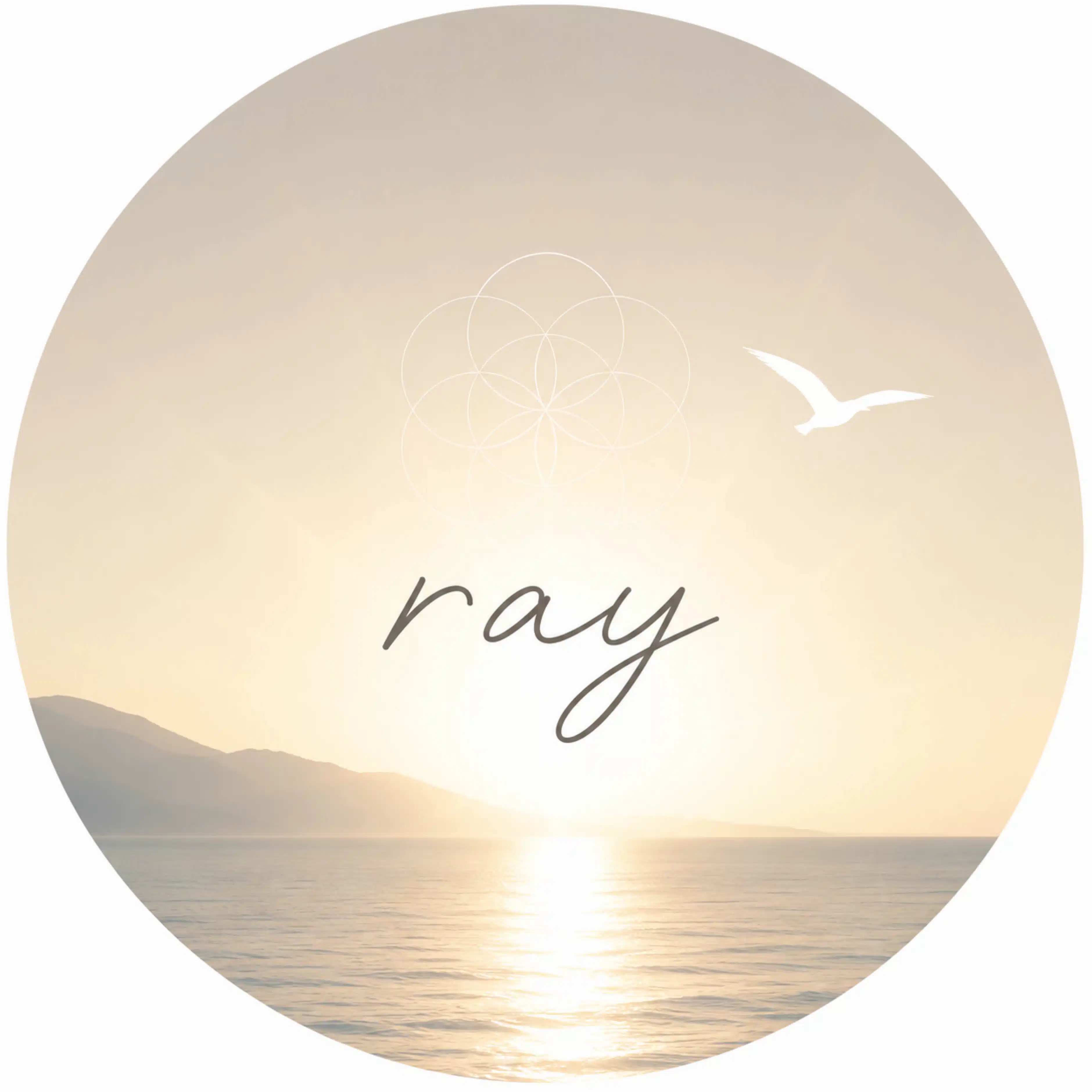 ray