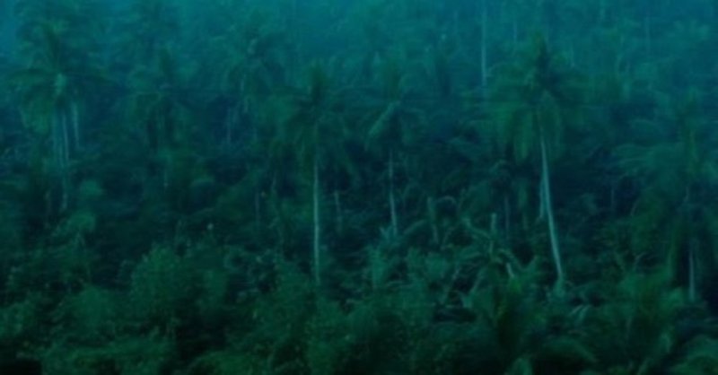 最好映画 141 欲望の翼 1990年 もりぐちのりたか note