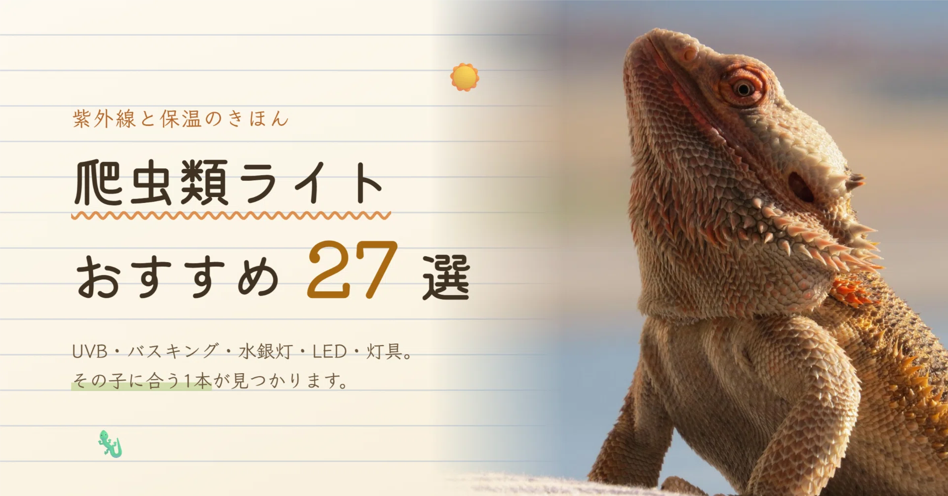 爬虫類等　ライトまとめて 爬虫類ライトおすすめ27選｜UVB・バスキング・LEDをタイプ別に比較