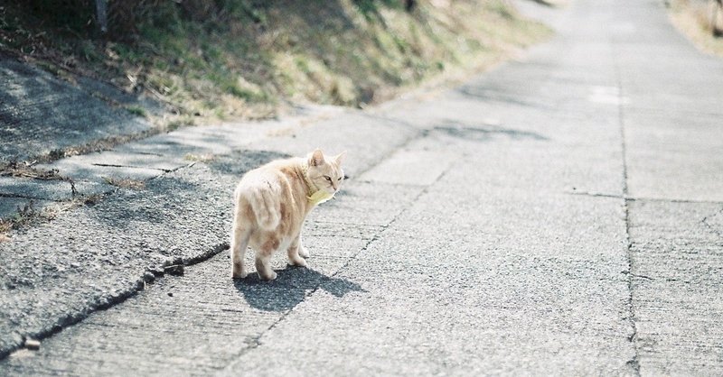 甘えと厳しさの境界線をつくるより、目的に立ち返って動きたい