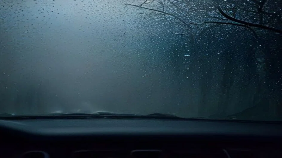 車の中から見た、雨粒だらけのフロントガラス。外の裸木と道が水滴でにじんで形を失い、手前のダッシュボードは暗く沈んでいる。人はいない