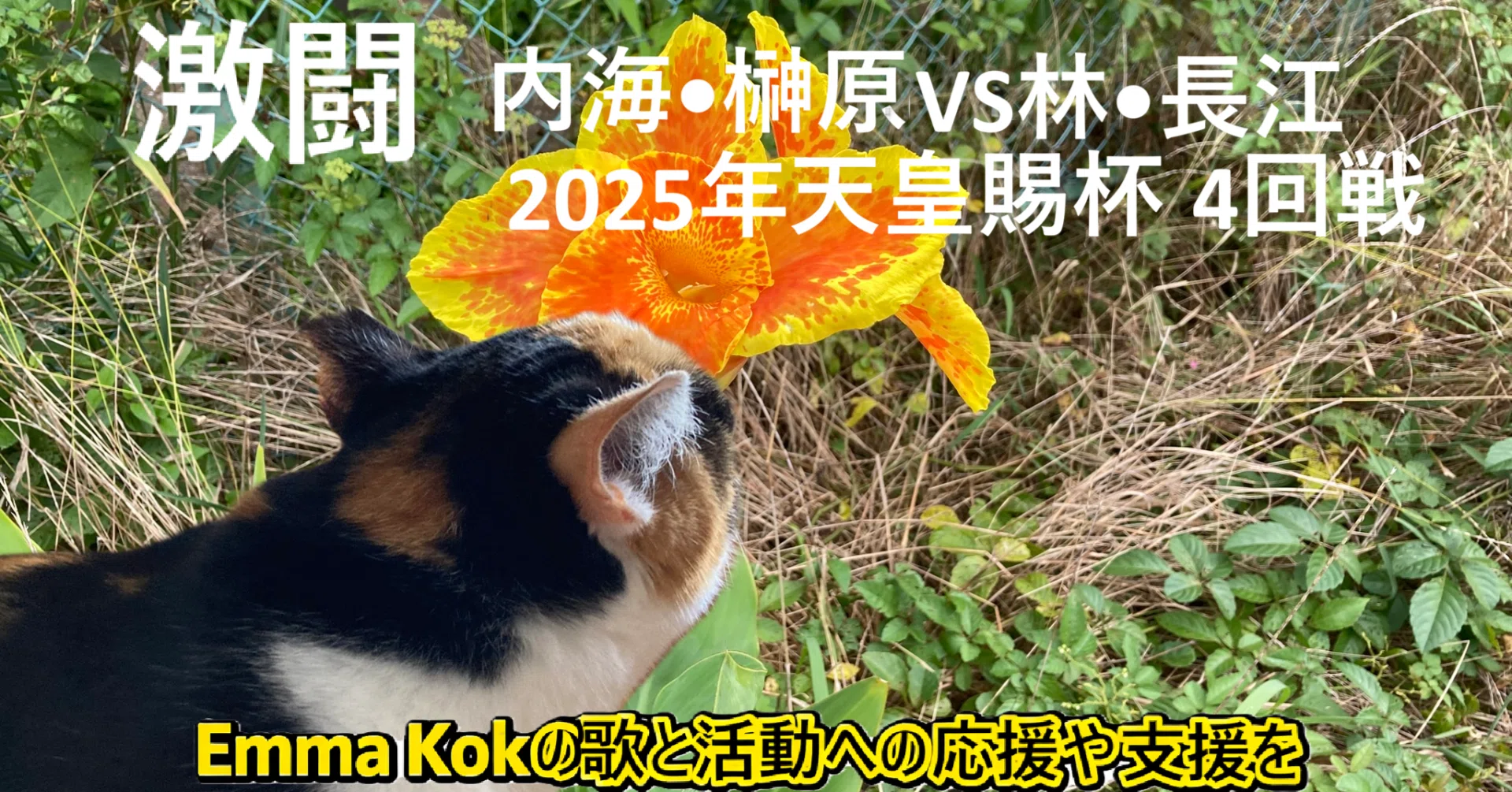 内海•榊原（CROSSTY)VS林•長江（NTT西日本）2025年 第80回 天皇賜杯
