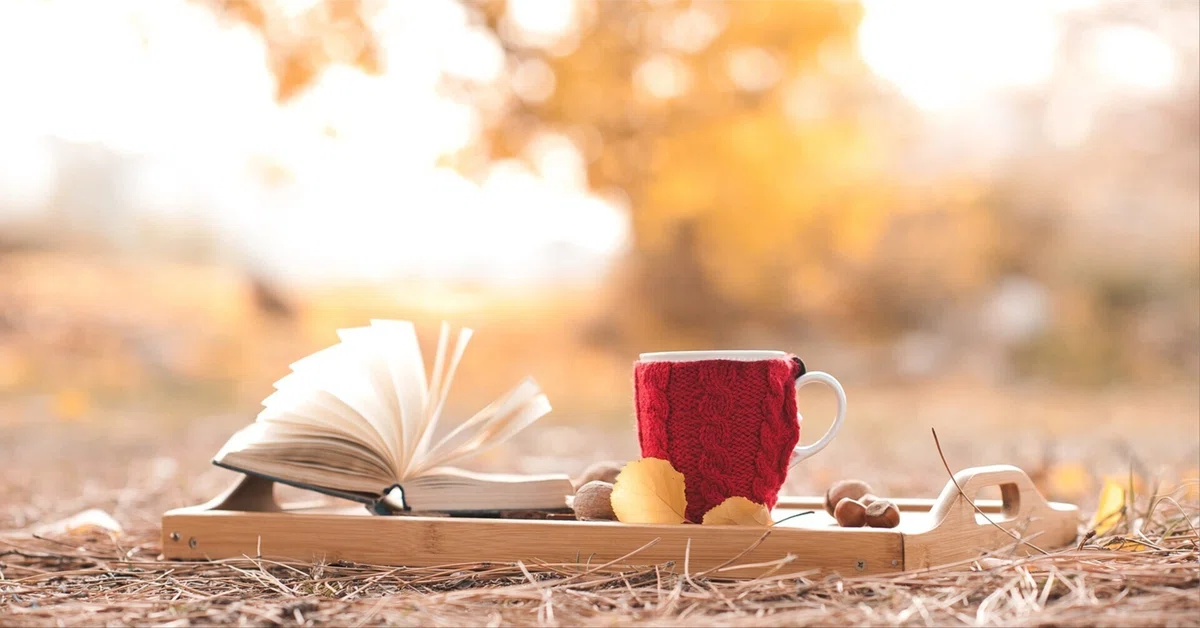 Read Book Cc It's Autumn! It's Books! It's Reading! I attended the 2nd Yomi no Ichi ...