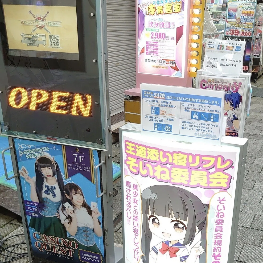 活動歴および当時の関連ビジュアル記録