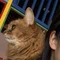Collection of SQL and DB Learning Stumbling Blocks｜うら