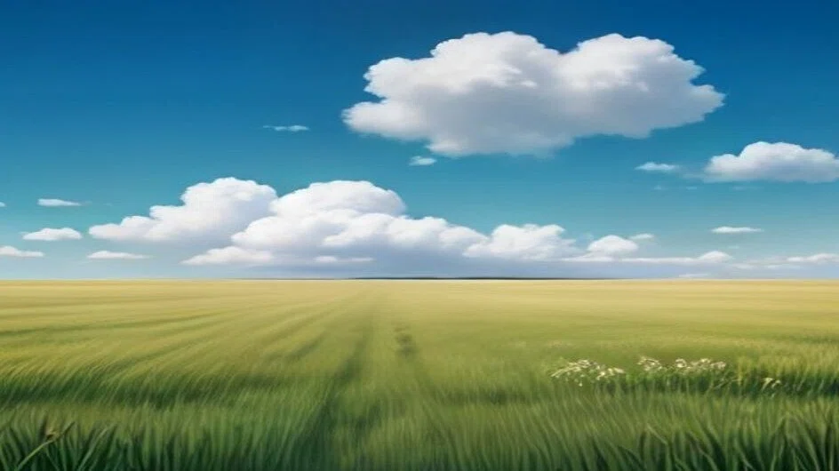 濃い青空に白い雲がいくつも浮かんでいて、その下には草の原が地平線までまっすぐ広がっている。手前の草は風でなびいている