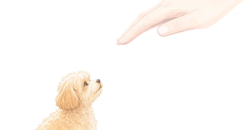 愛犬にとって私の手は、安心だった？