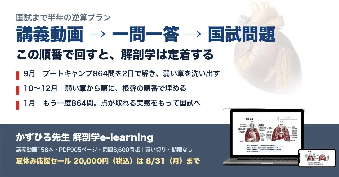 解剖学は「講義動画 → 一問一答 → 国試問題」の順で回すと定着する
