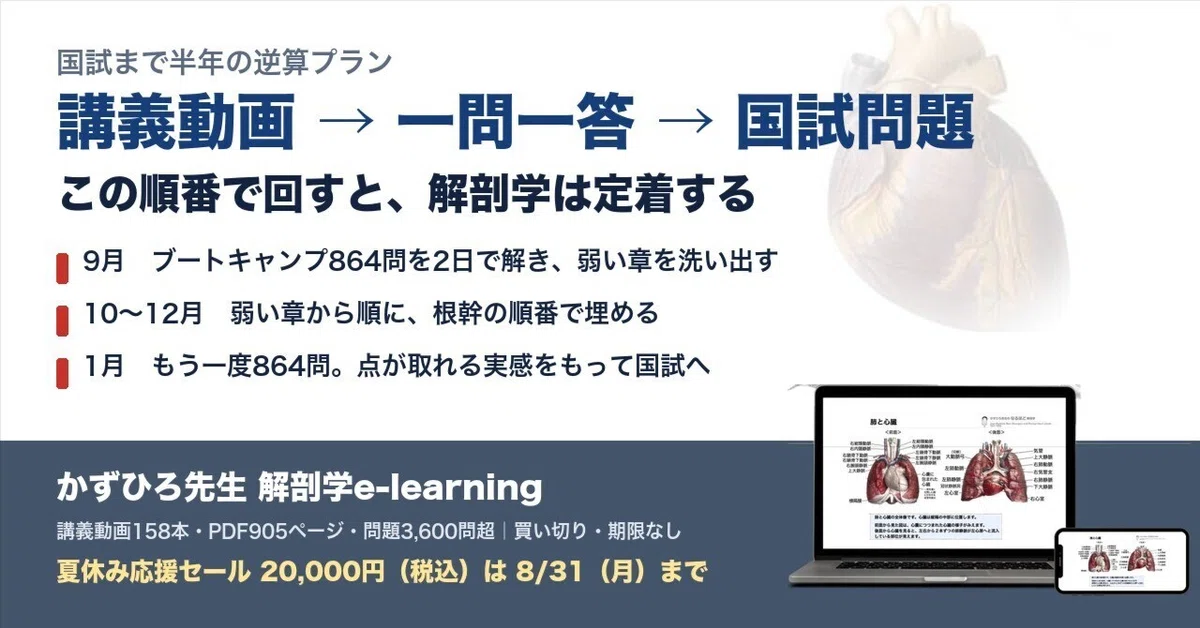 解剖学は「講義動画 → 一問一答 → 国試問題」の順で回すと定着する