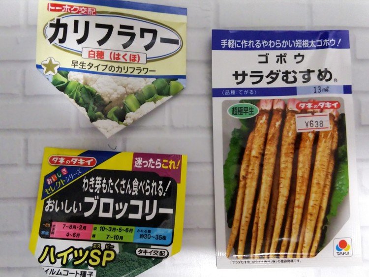 秋冬野菜の段取りをそろそろ開始。で、手持ち種の整理など。新しく購入した冬採りできる短根のゴボウ種に、去年もののブロッコリー、カリフラワーの種。ゴボウはニンジン採り次第随時、ブロッコリーとカリフラワーは今週末から苗作り開始しようかと思います。