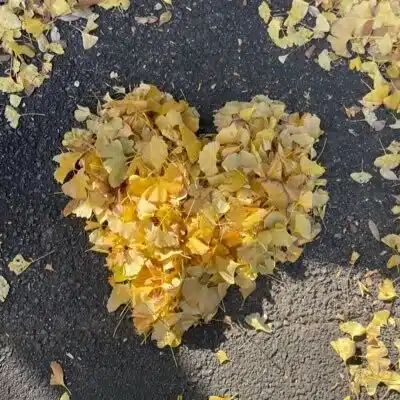 吉田そめい