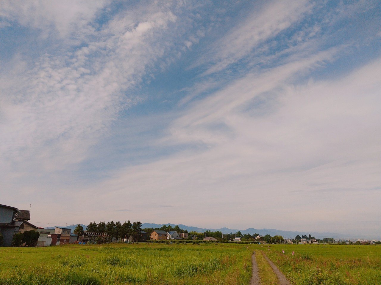 おはようドグ W 真理はいつもシンプルだけど 真理を知ってる人は少ない 中村天風の言葉 怒らない 恐れない 悲しまない って真理だと思うんだドグ あと 大体のヨガやった人は ケツの穴締めと Switch 山田スイッチ Note