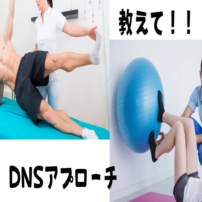 PT向け】東欧の医学に育まれたセラピー『DNSアプローチ』を知る方法