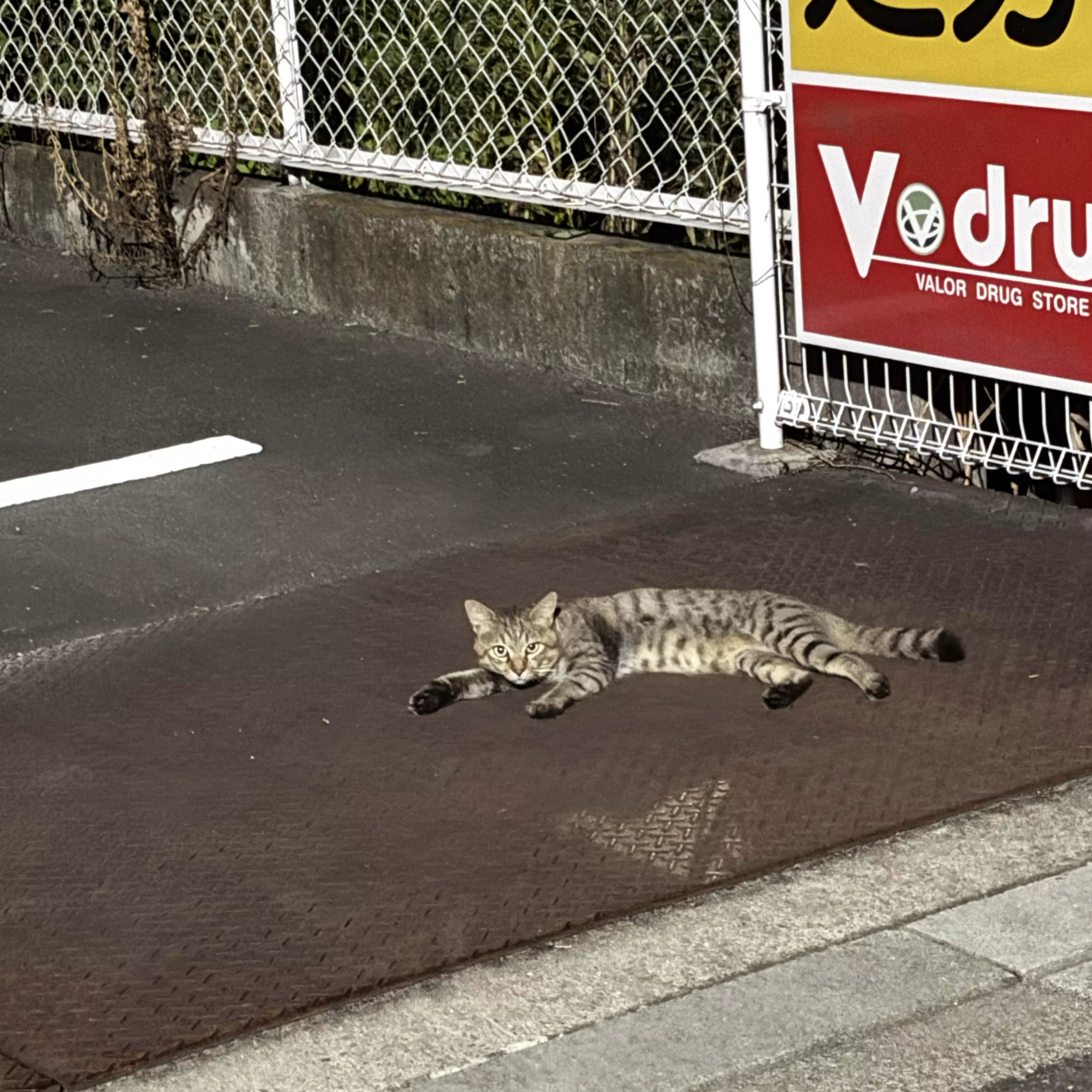 新名