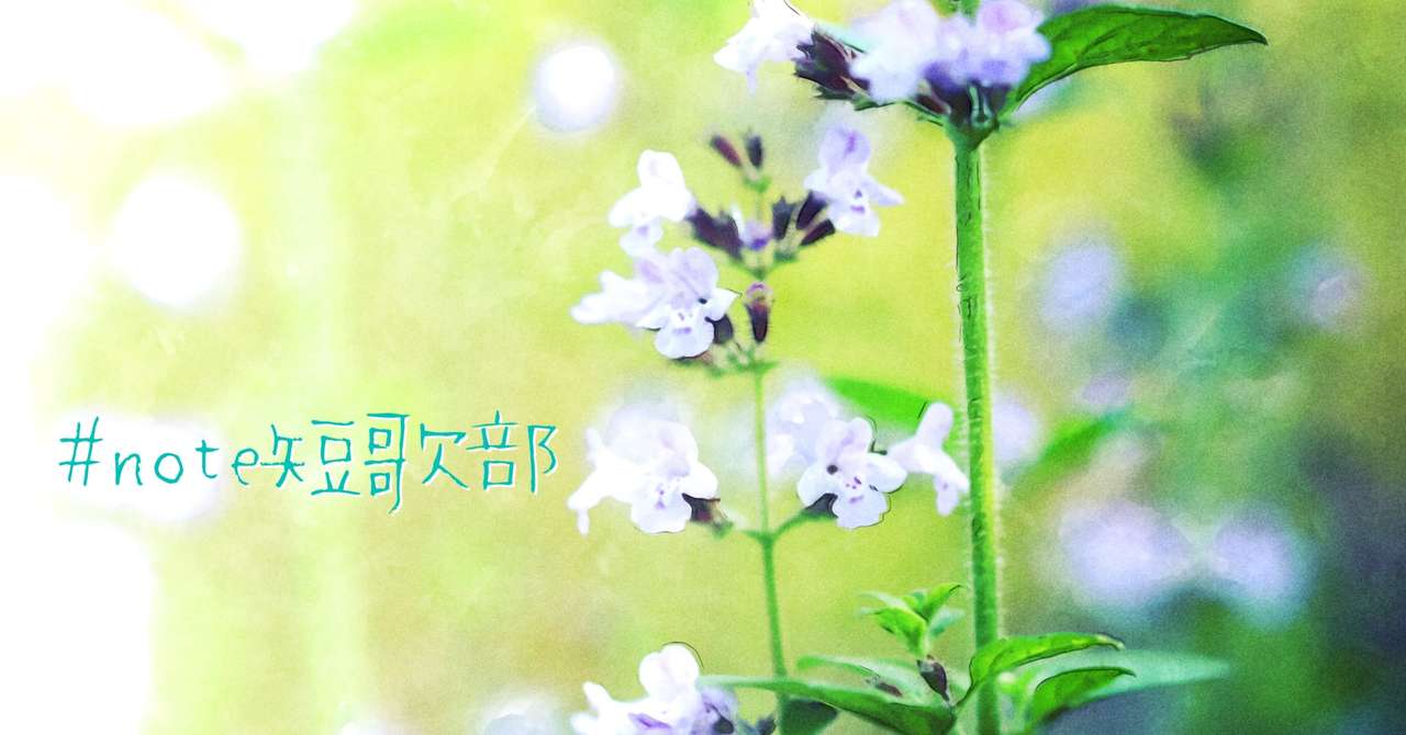 7月21日 誕生花はミント Note短歌部 御子柴 流歌 Note 7月21日 誕生花はミント Note短歌部 御子柴 流歌 Note