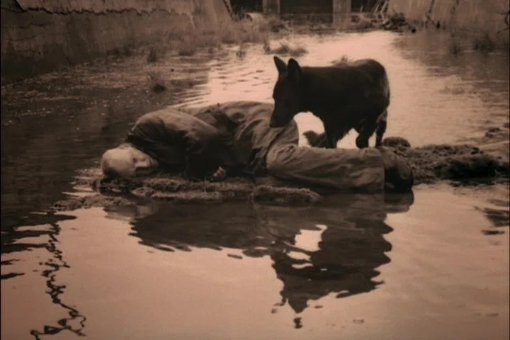 画像19