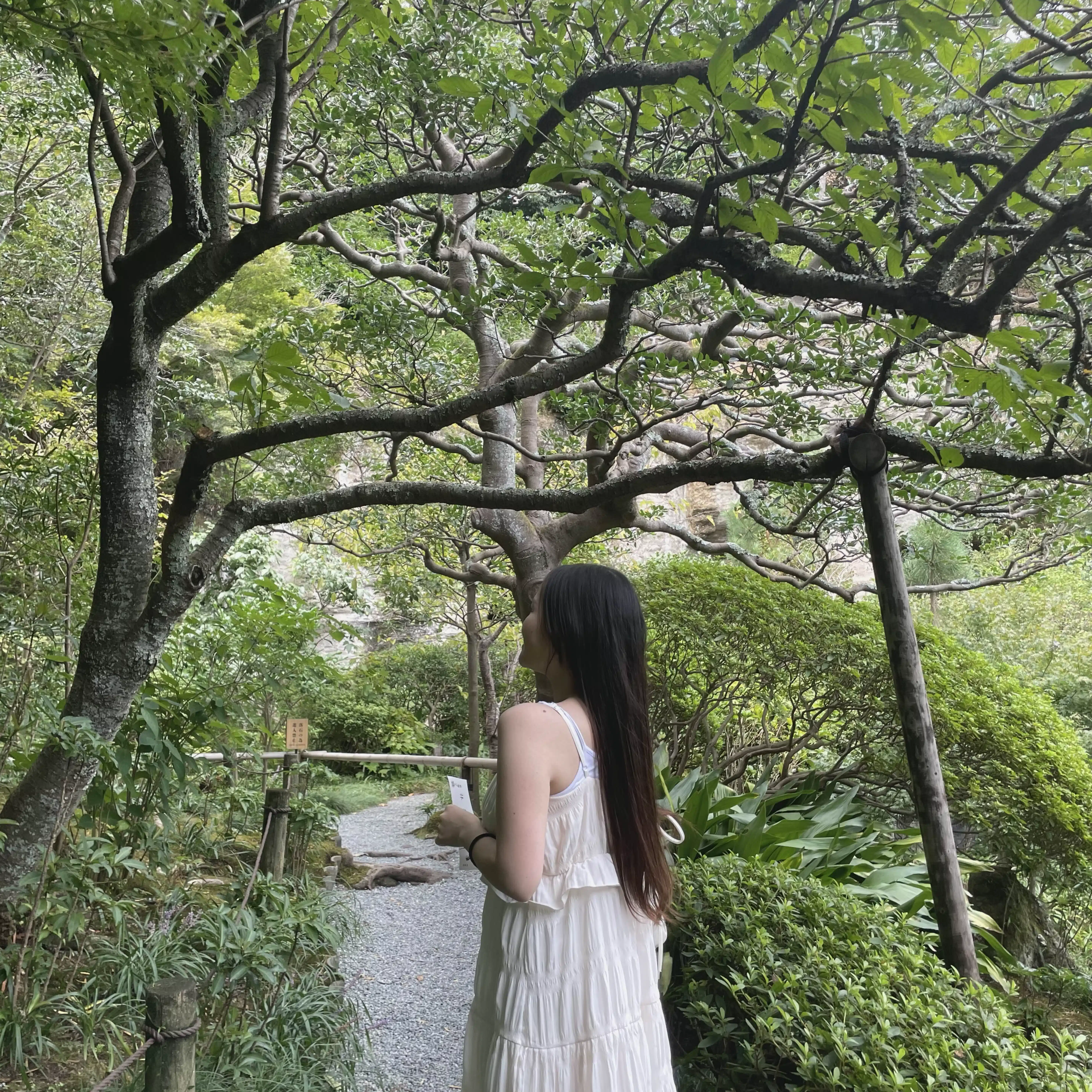 気ままな旅の記録